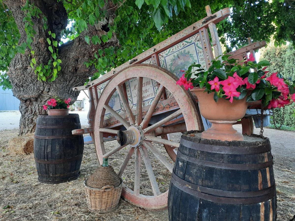 Tenuta Coppa Zuccari Citta Sant'Angelo Zewnętrze zdjęcie