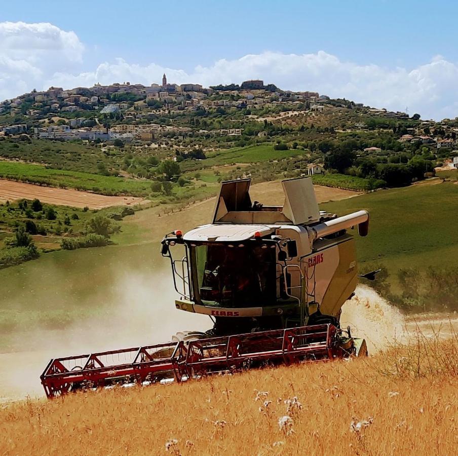 Tenuta Coppa Zuccari Citta Sant'Angelo Zewnętrze zdjęcie